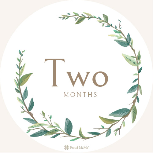 Pregnancy cards 2 months | Proud MaMa